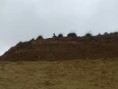 /album/rutas-por-monte-vives-/img-20140106-wa0017-jpg/