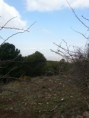 /album/rutas-por-monte-vives-/img-20140123-wa0024-jpg/
