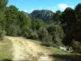 /album/rutas-por-monte-vives-/img-20140303-wa0021-jpg/
