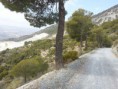 /album/rutas-por-monte-vives-/img-20140313-wa0016-jpg/