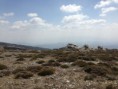 /album/rutas-por-monte-vives-/img-20140315-wa0043-jpg/