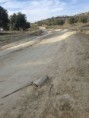 /album/rutas-por-monte-vives-/img-20140325-wa0016-jpg/